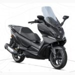 CYCLONE RT3S 300