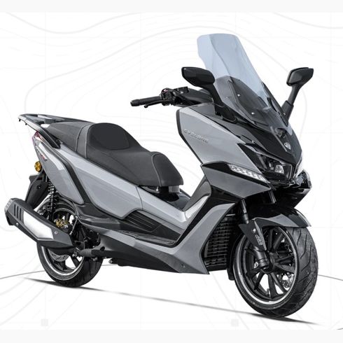 CYCLONE RT3S 300 - Imagen 2